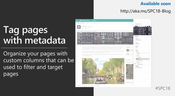 33100554_238102180078705_7447327769182076928_n